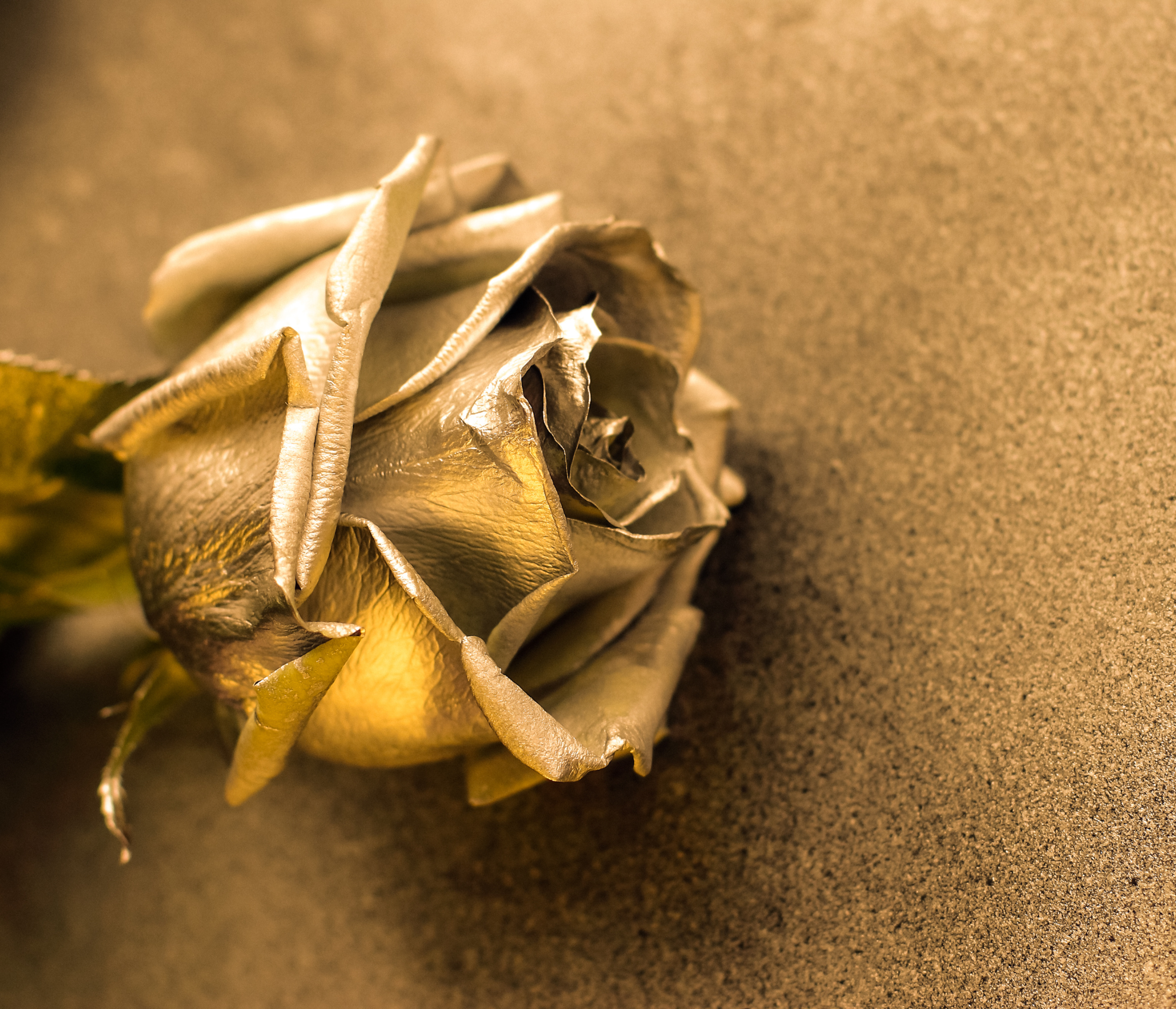 Copy of Turquoise and White New Employee Announcement Social Media Post (YouTube Thumbnail) (17)